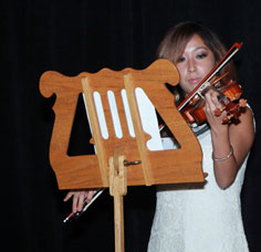 violin2
