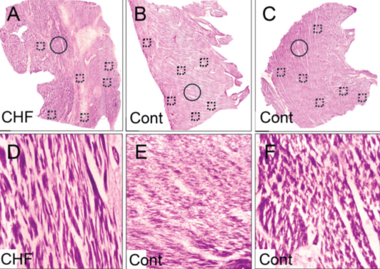 Collaborative publication