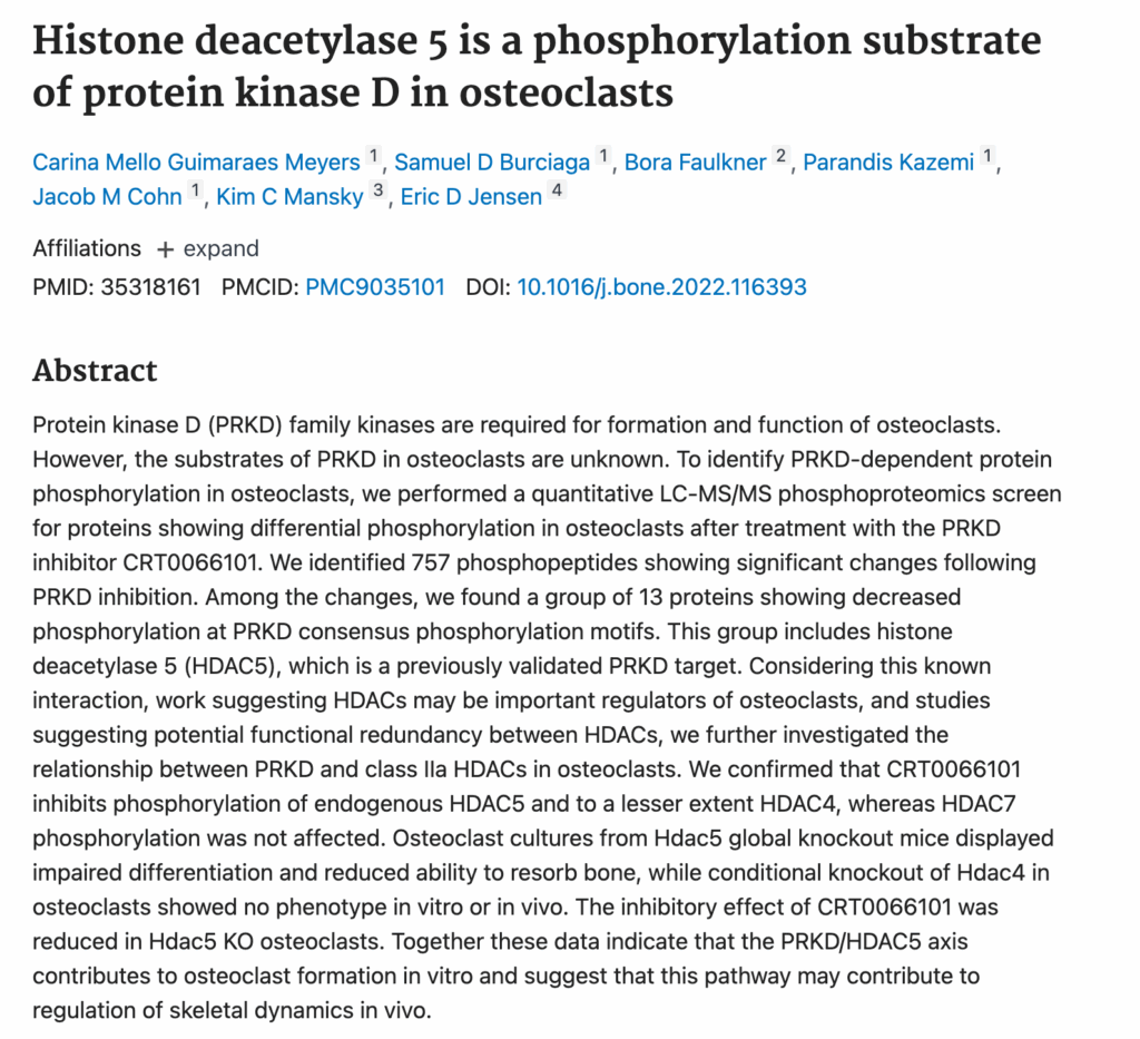 Histone deacetylase 5 is a phosphorylation substrate of protein kinase D in osteoclasts